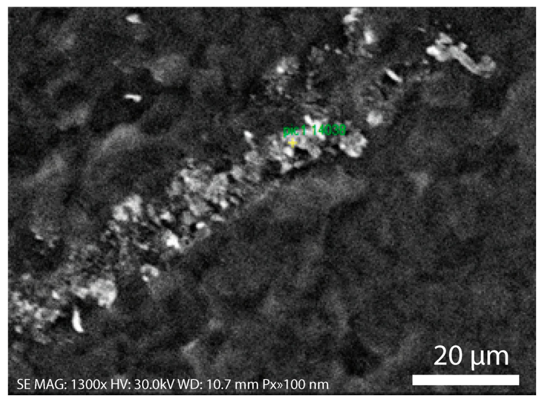 Catalysts 15 00572 g004