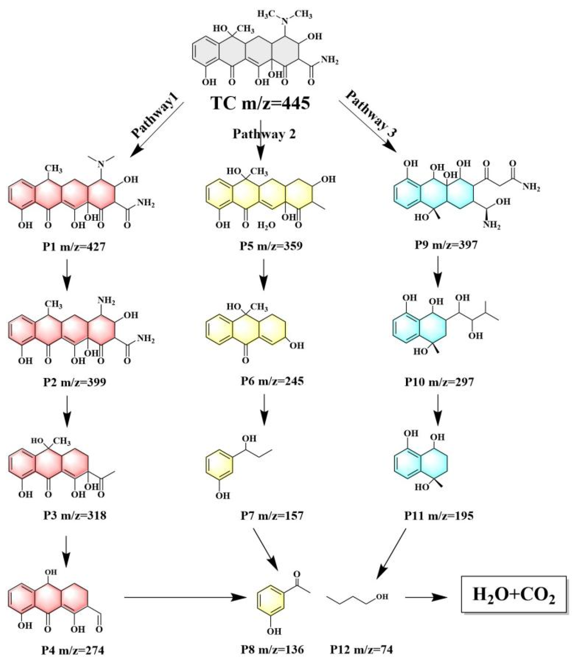 Catalysts 15 00580 g009 Catalysts 15 00580 g009