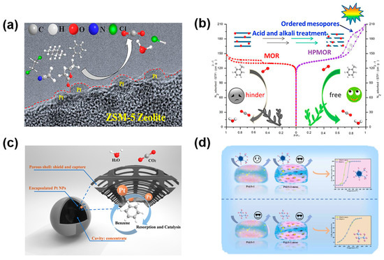 Catalysts 15 00581 g002