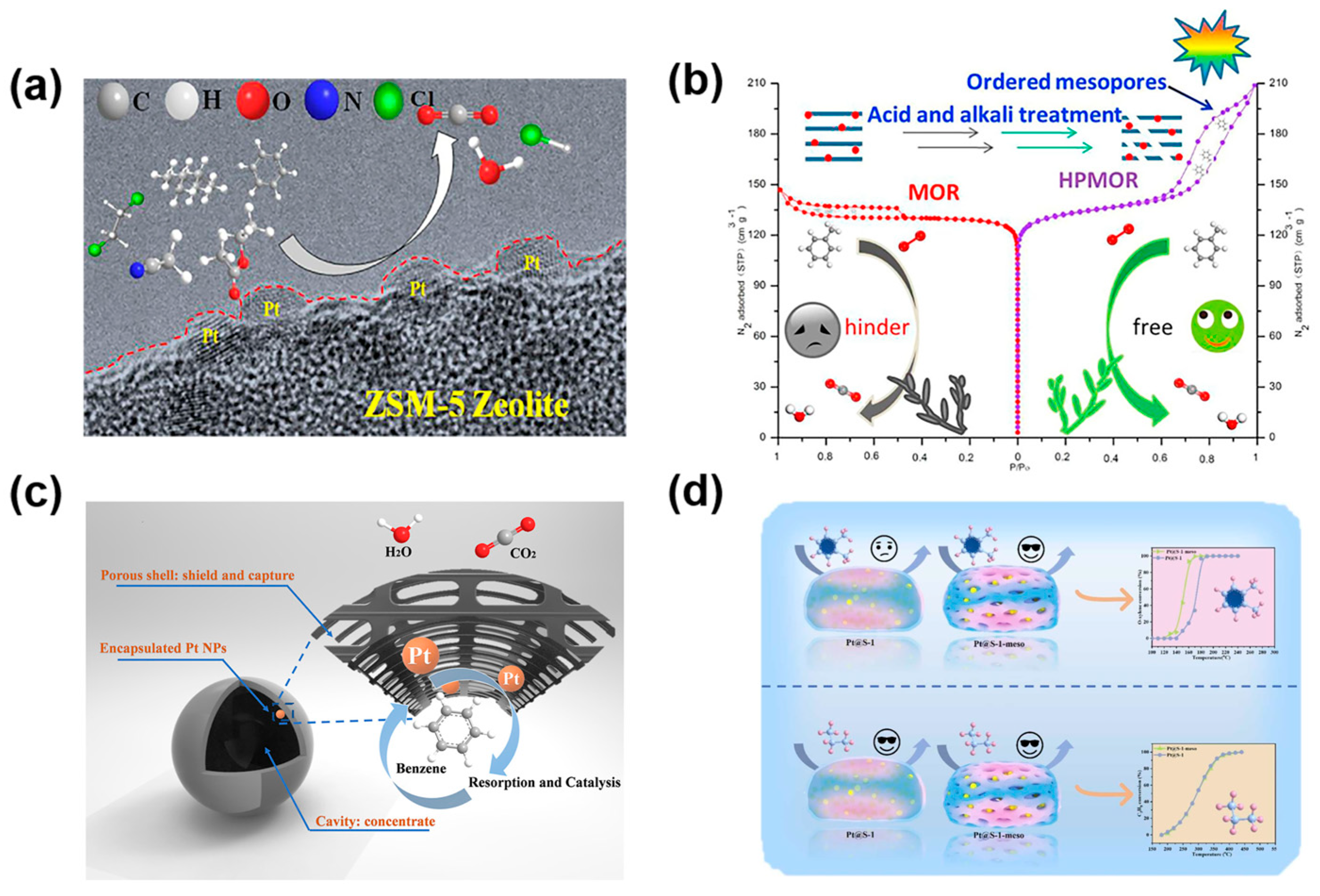 Catalysts 15 00581 g002