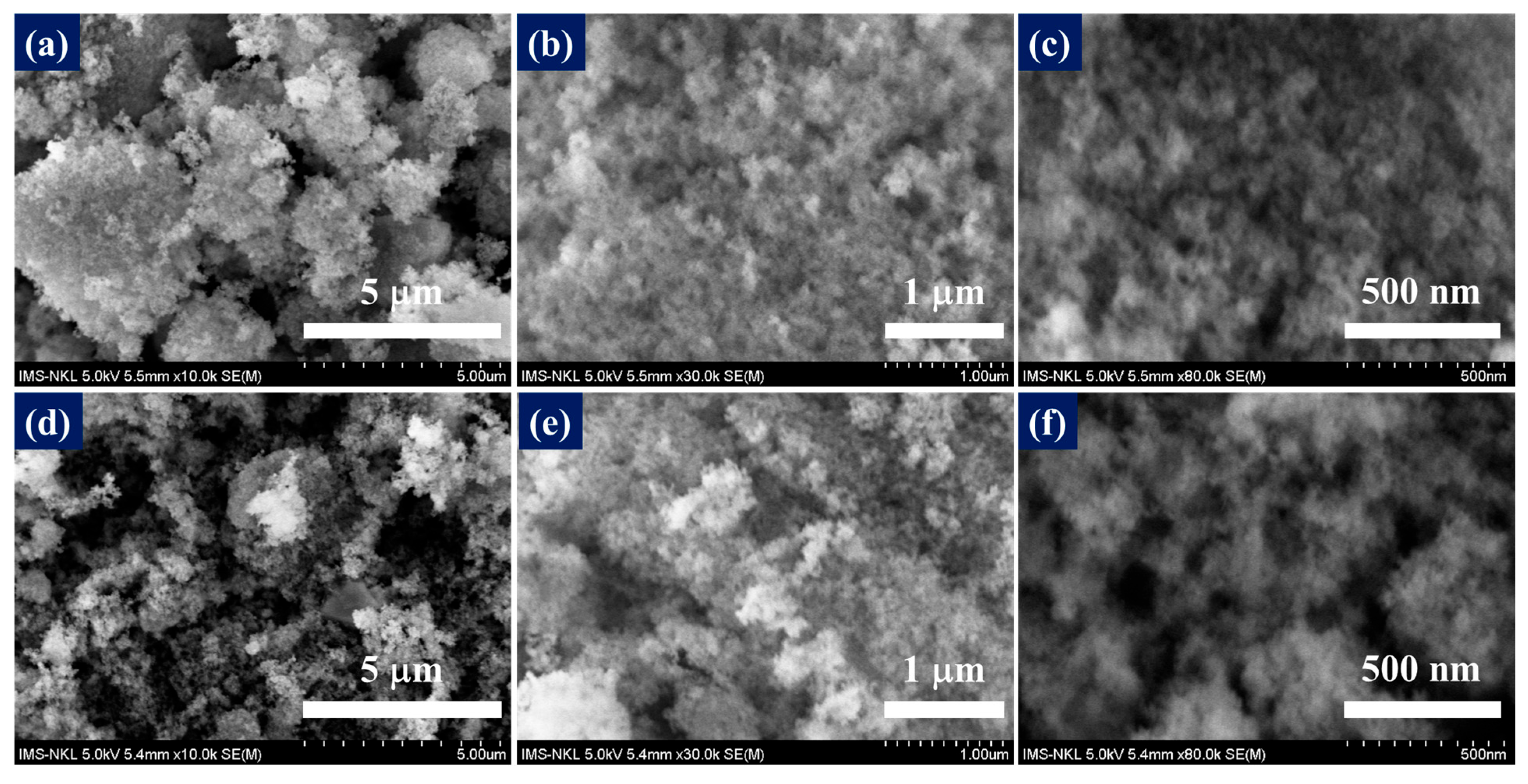 Catalysts 15 00583 g001