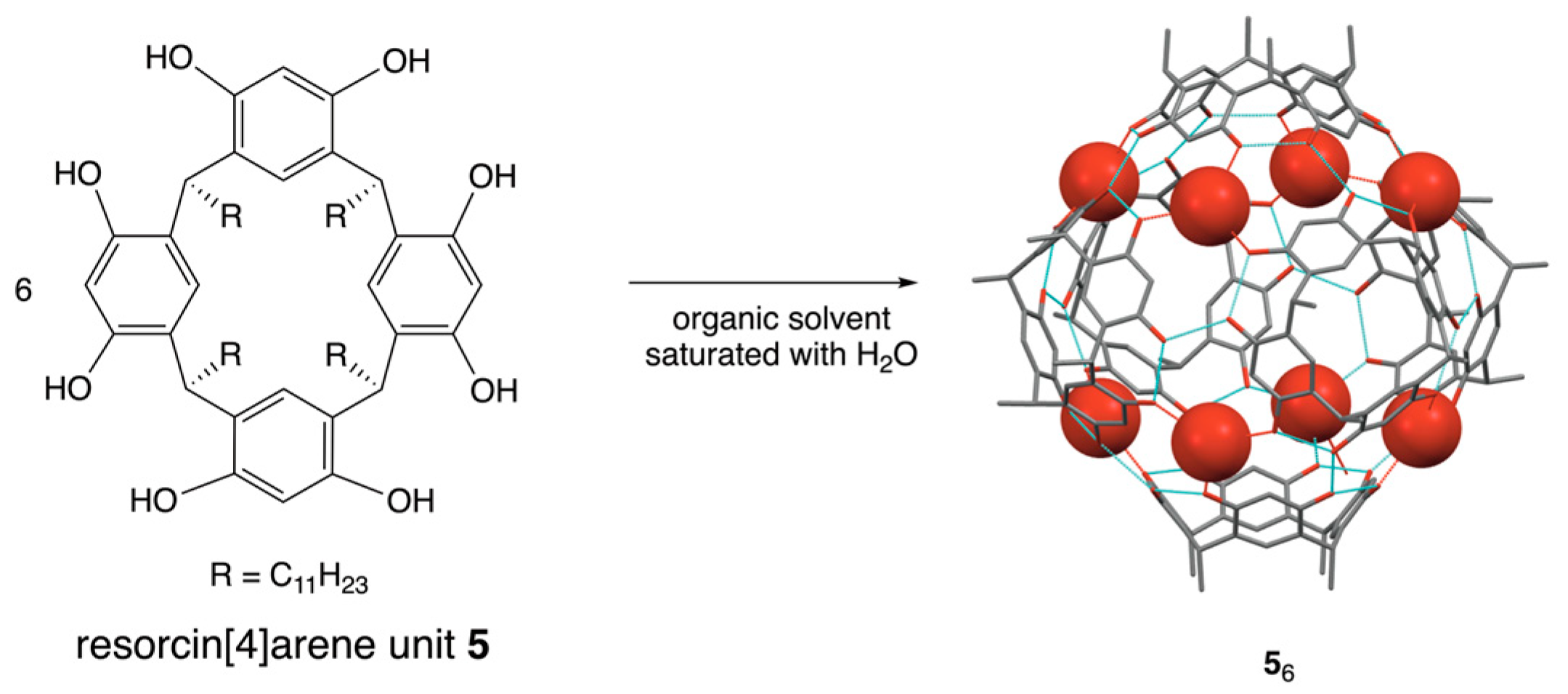 Catalysts 15 00585 sch002