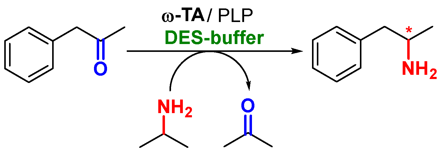 Catalysts 15 00586 sch010