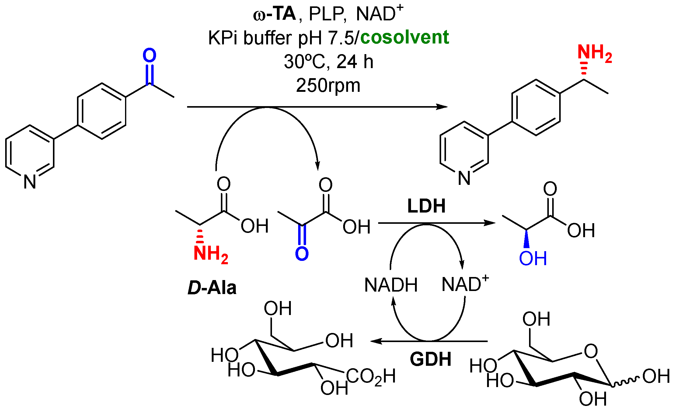 Catalysts 15 00586 sch011