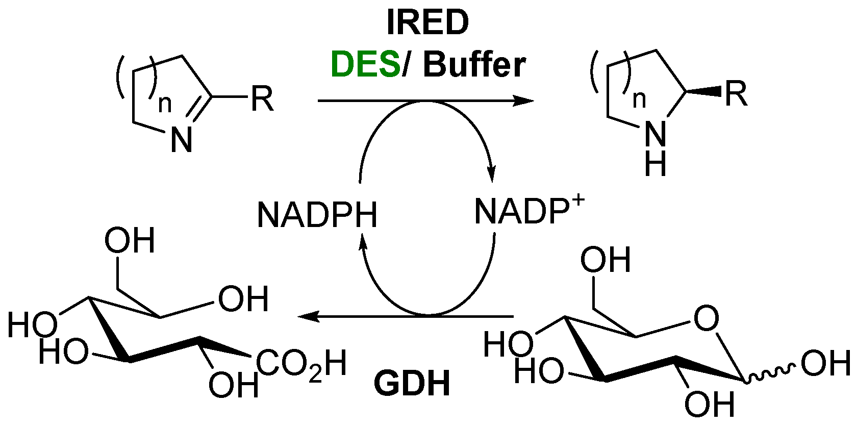 Catalysts 15 00586 sch013