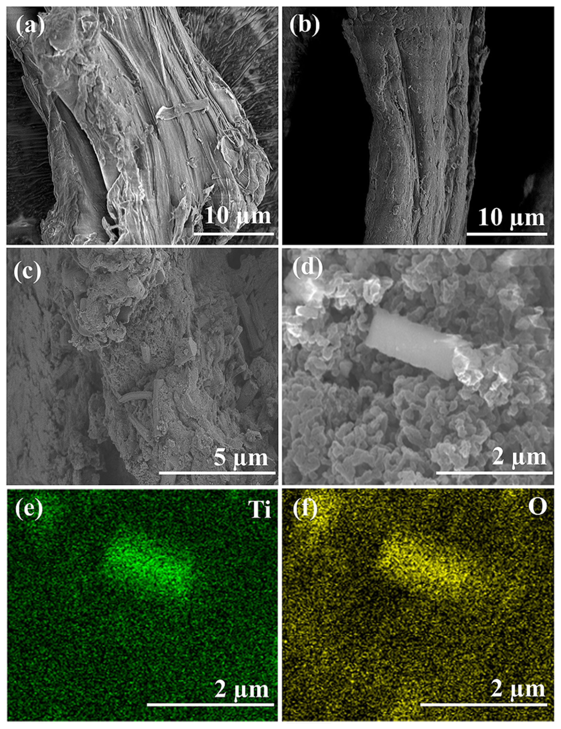 Catalysts 15 00587 g003 Catalysts 15 00587 g003