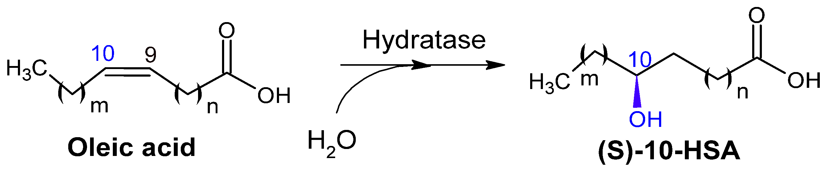 Catalysts 15 00600 g002 Catalysts 15 00600 g002