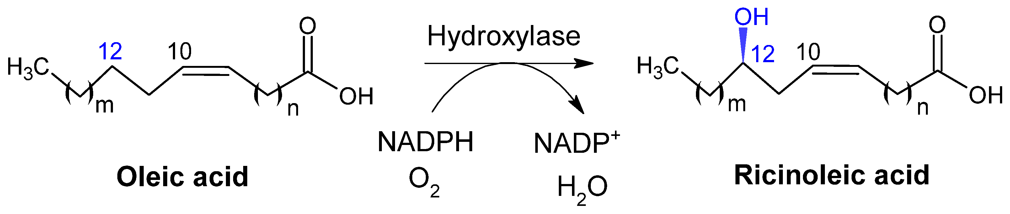 Catalysts 15 00600 g003 Catalysts 15 00600 g003