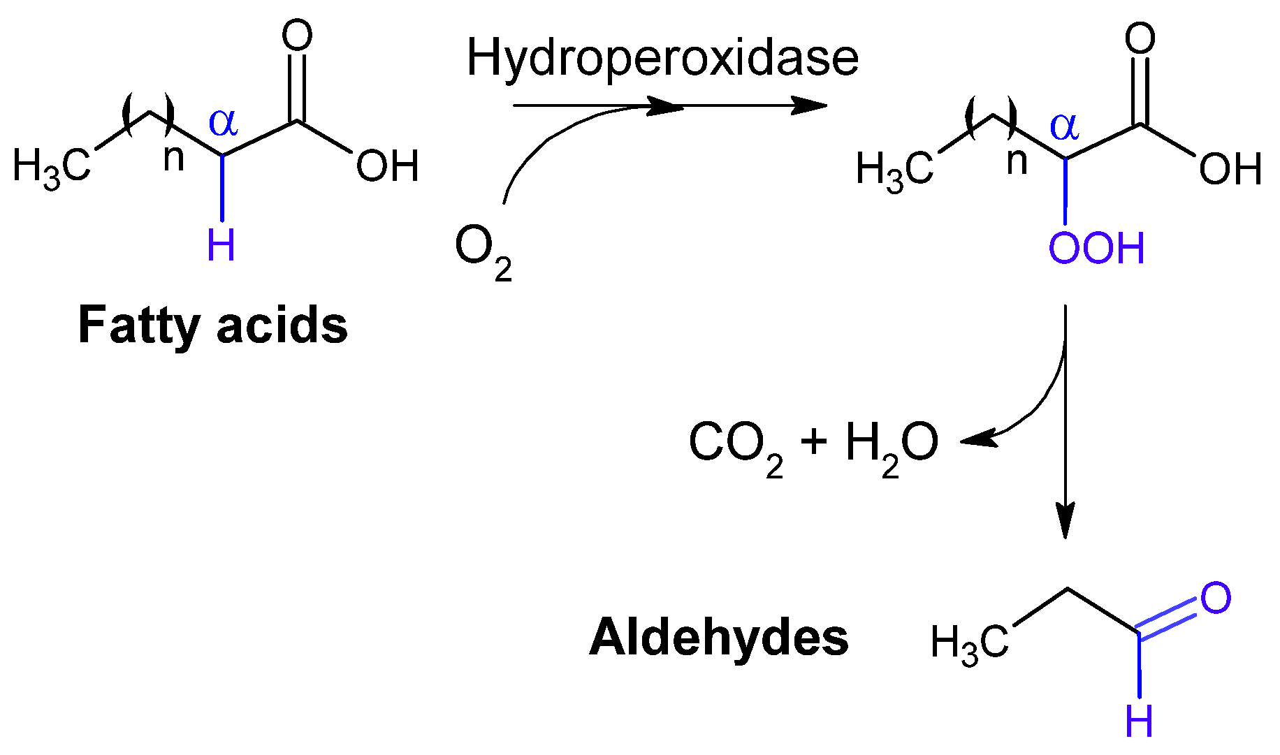 Catalysts 15 00600 g004 Catalysts 15 00600 g004