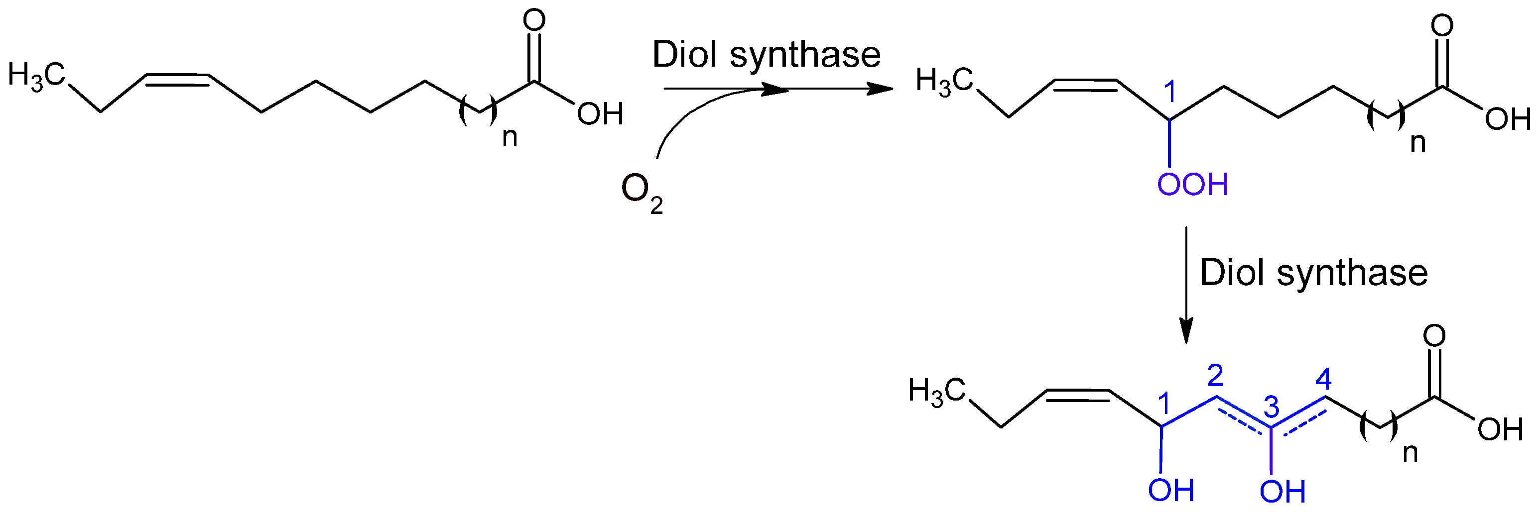Catalysts 15 00600 g005 Catalysts 15 00600 g005