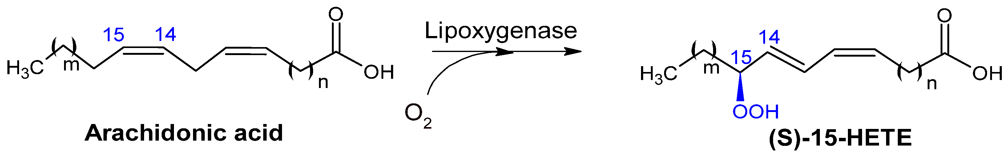 Catalysts 15 00600 g006 Catalysts 15 00600 g006