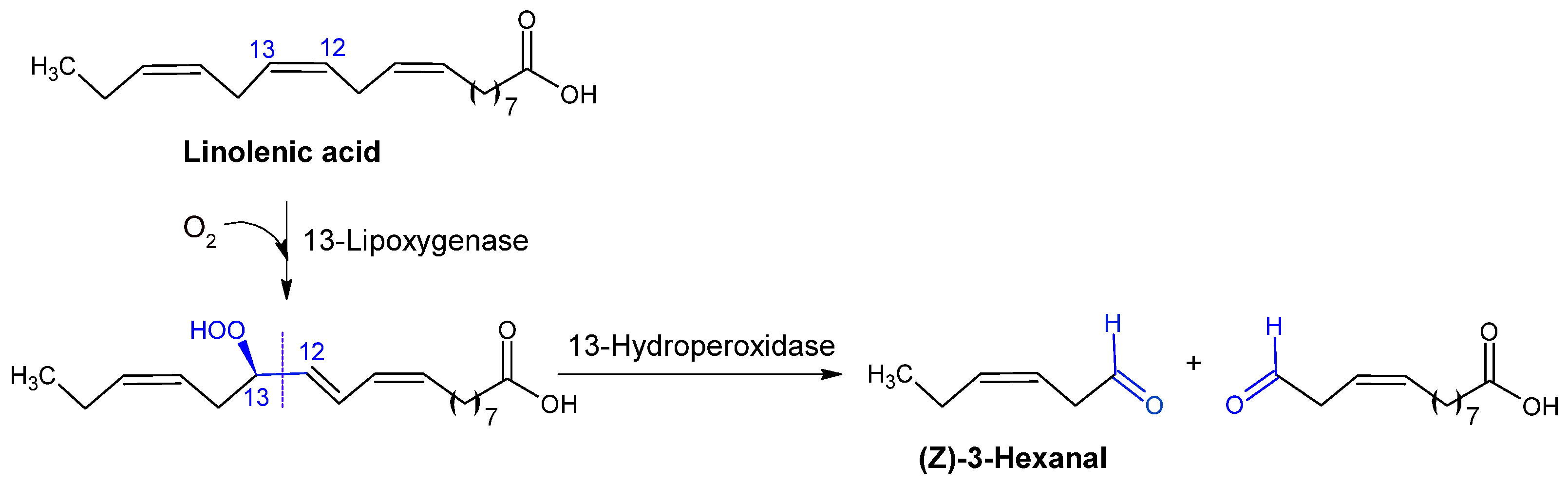 Catalysts 15 00600 g007 Catalysts 15 00600 g007