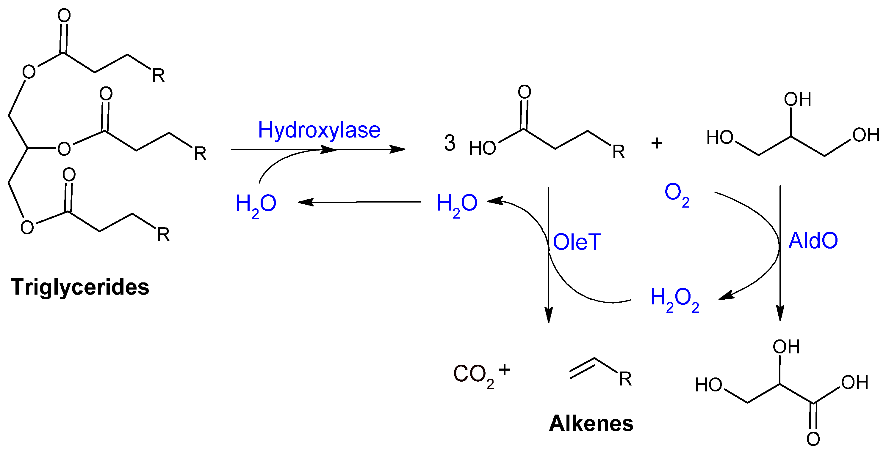 Catalysts 15 00600 g009 Catalysts 15 00600 g009