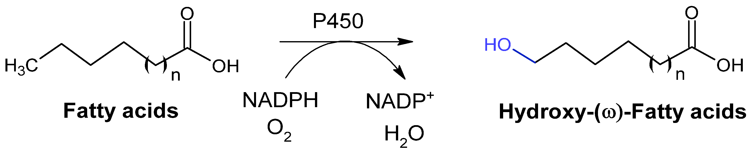 Catalysts 15 00600 g010 Catalysts 15 00600 g010