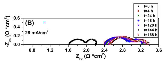 Catalysts 15 00618 g006b