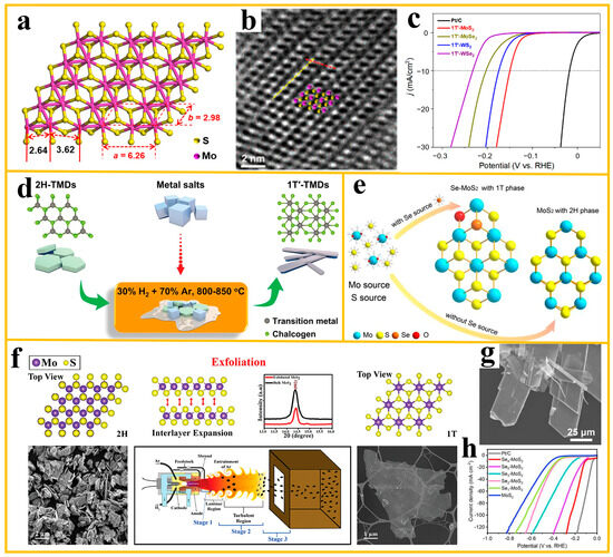 Catalysts 15 00626 g007
