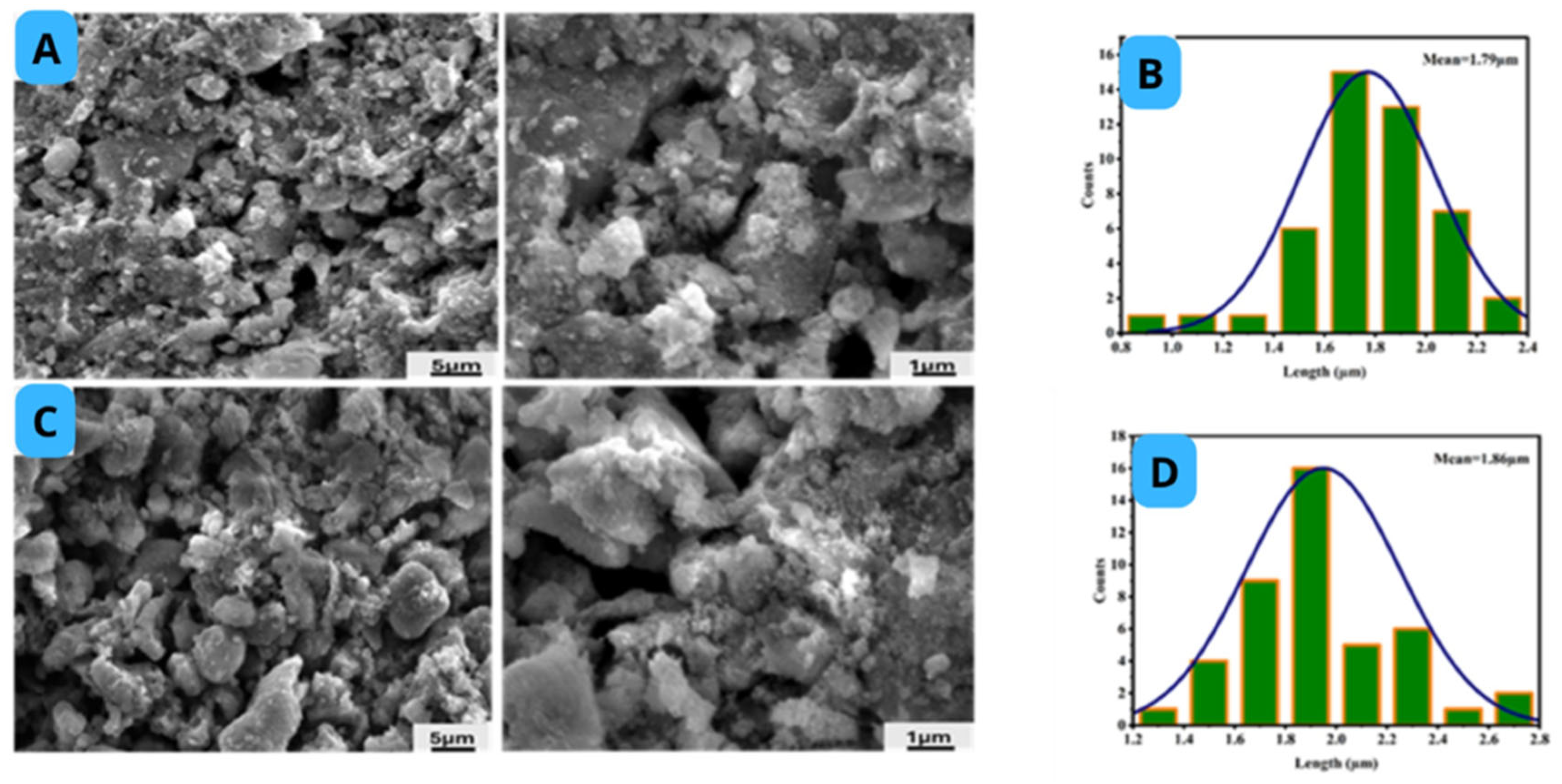 Catalysts 15 00631 g004 Catalysts 15 00631 g004