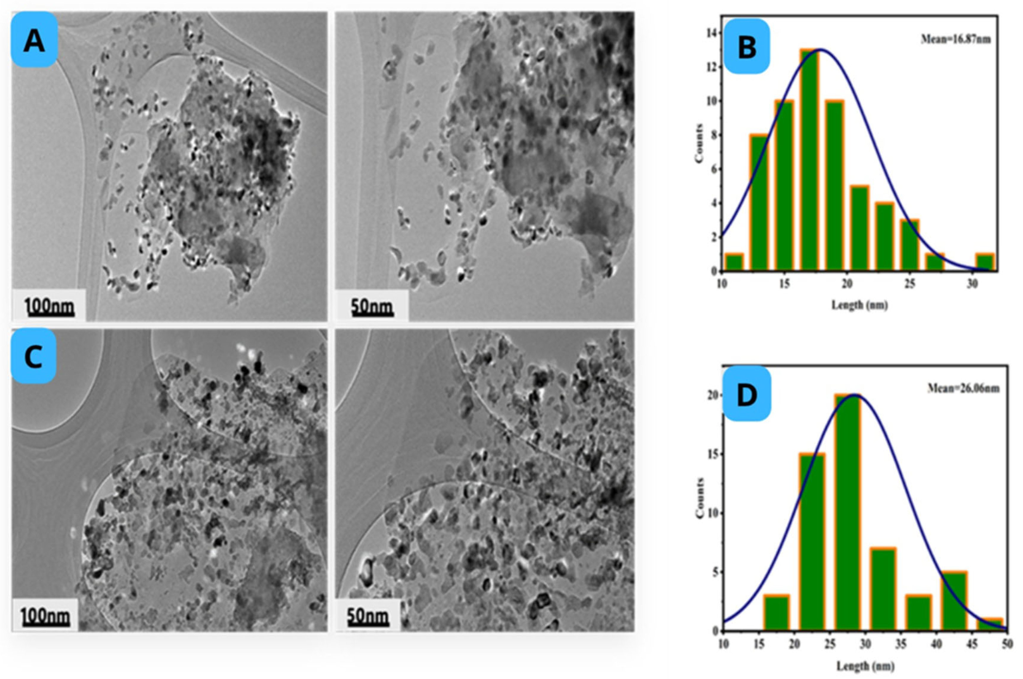 Catalysts 15 00631 g005 Catalysts 15 00631 g005