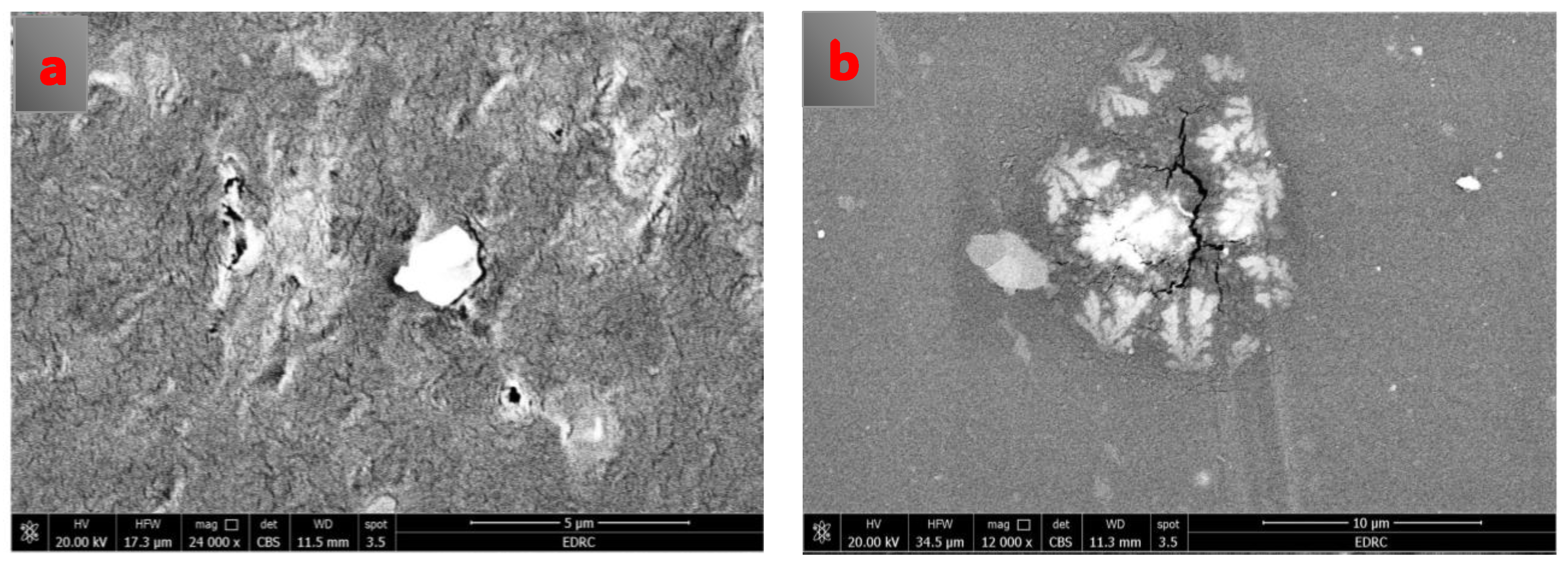 Catalysts 15 00644 g003 Catalysts 15 00644 g003