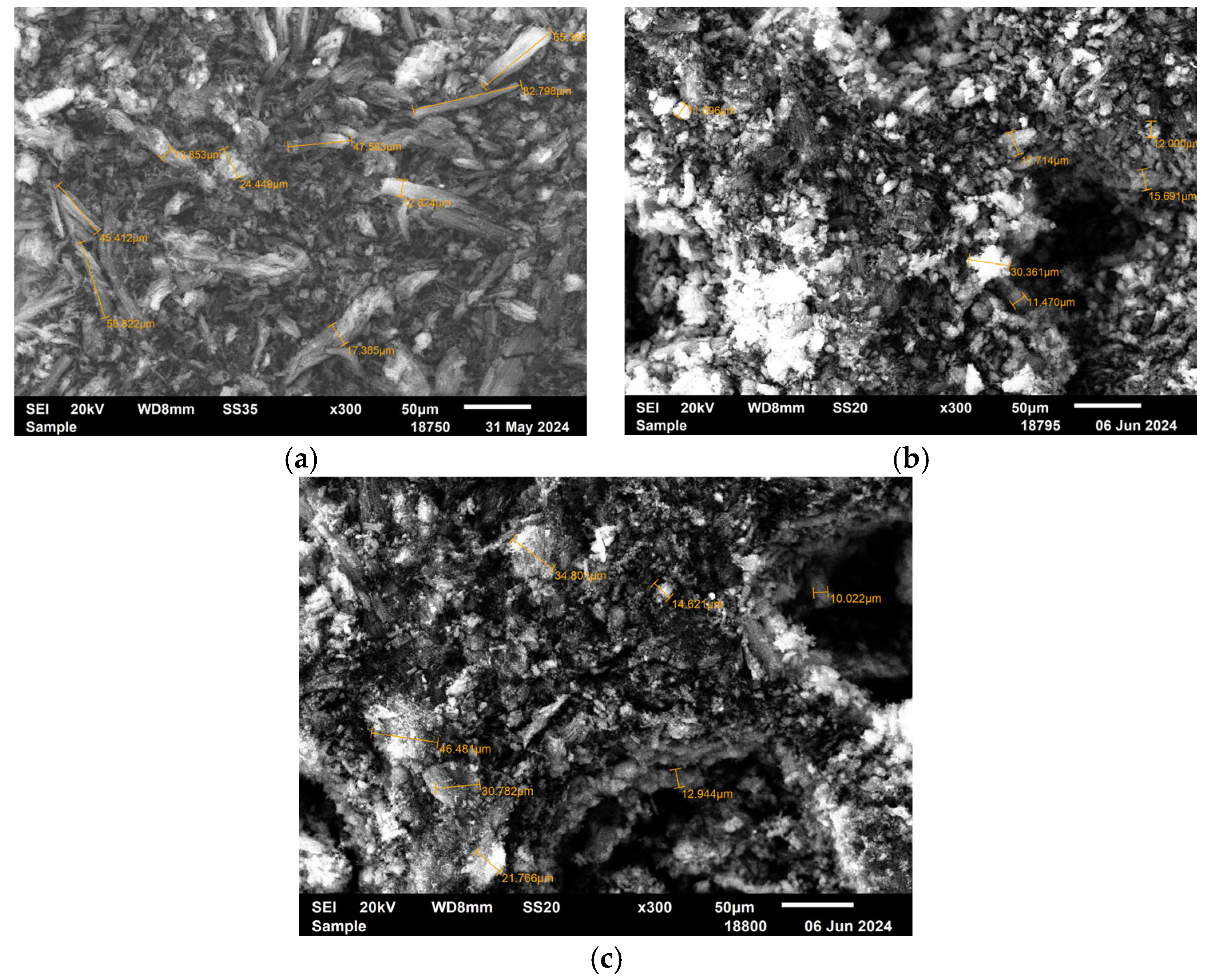 Catalysts 15 00650 g004