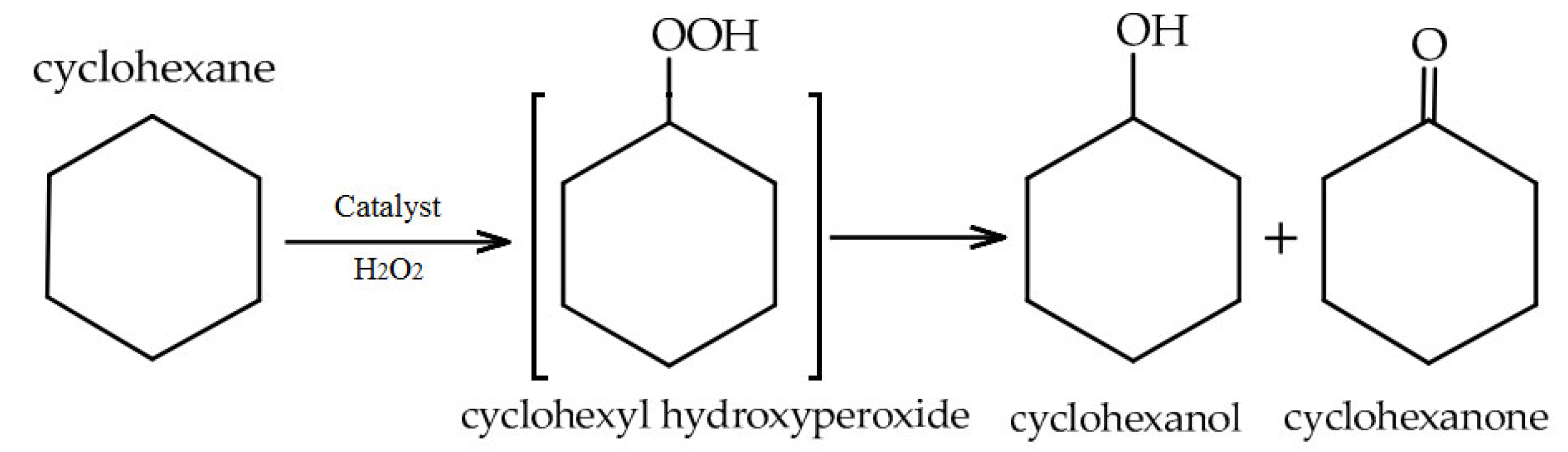 Catalysts 15 00650 sch001