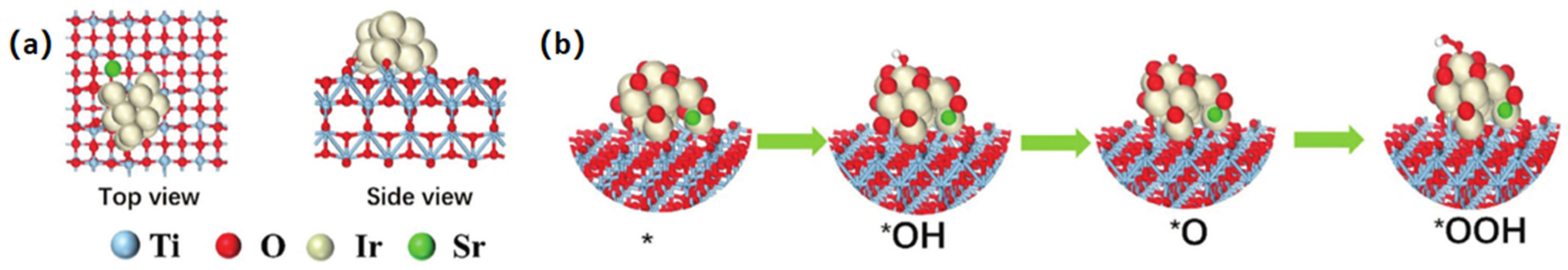 Catalysts 15 00651 g009
