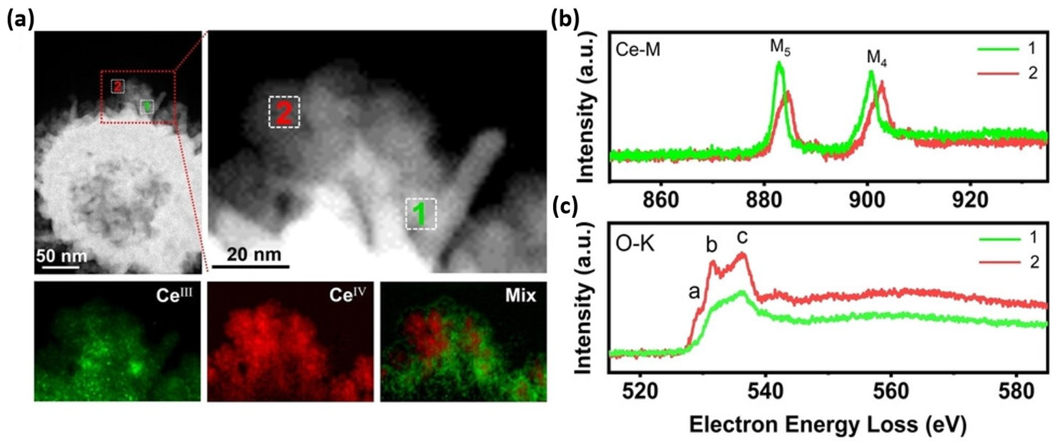 Catalysts 15 00651 g018