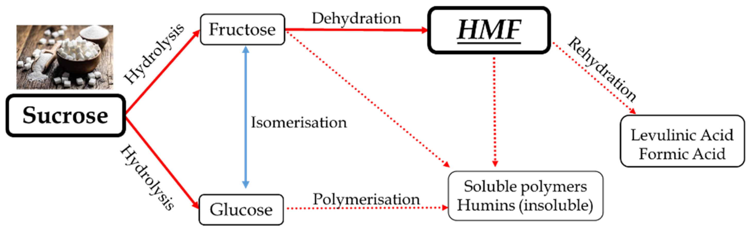 Catalysts 15 00656 sch001 Catalysts 15 00656 sch001