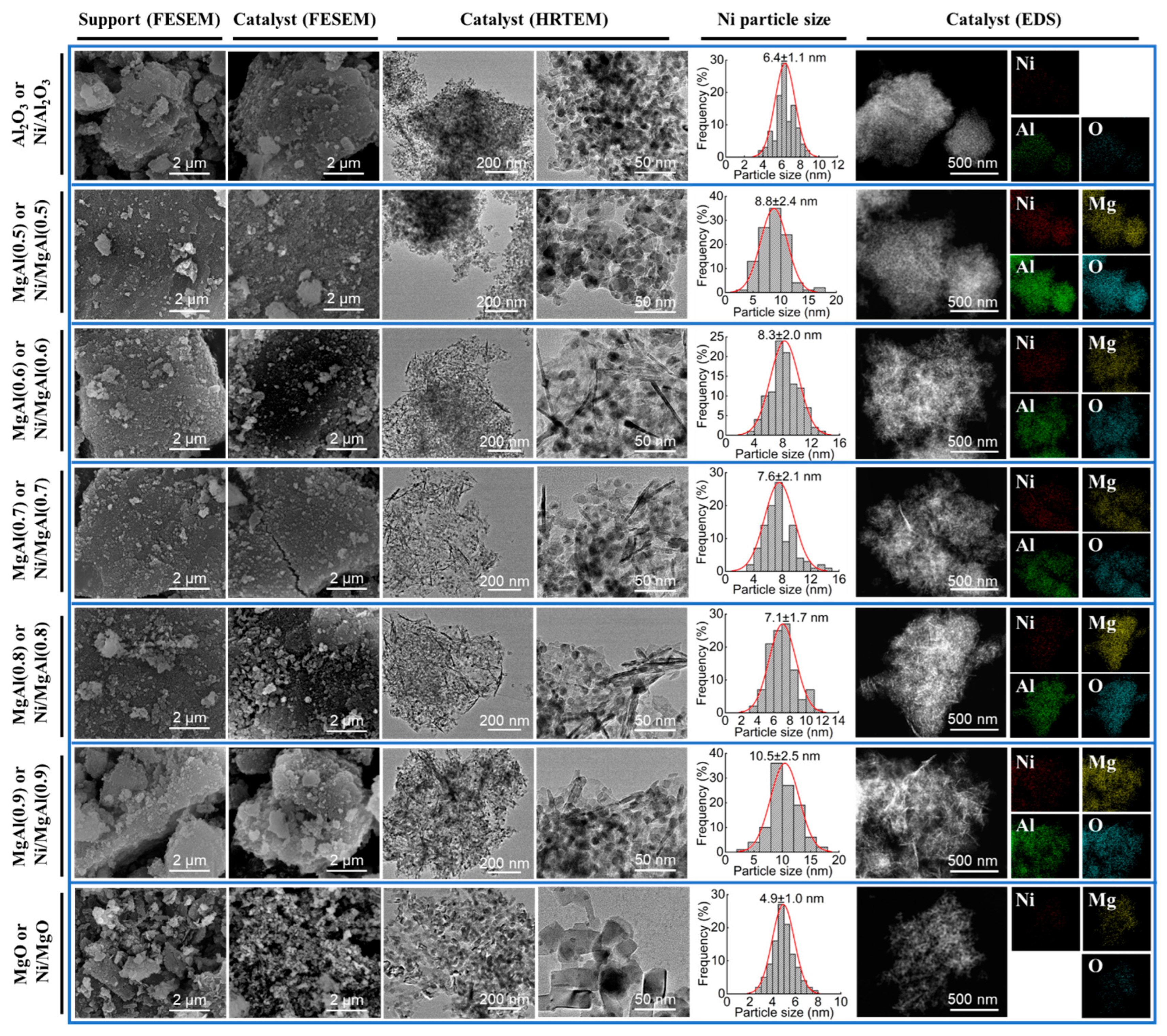 Catalysts 15 00659 g004