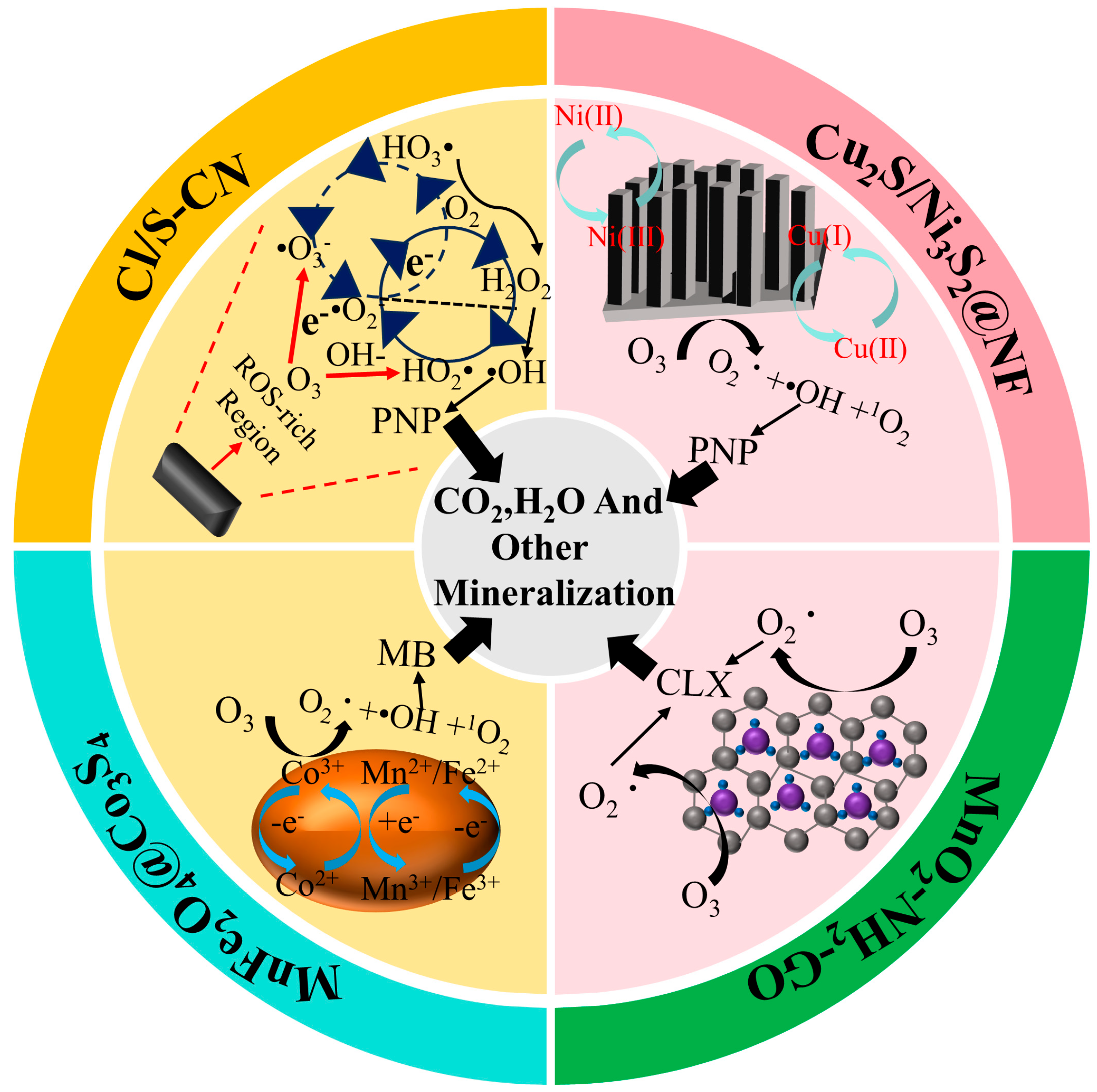 Catalysts 15 00671 g005
