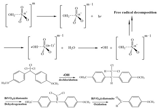 Catalysts 15 00672 g010