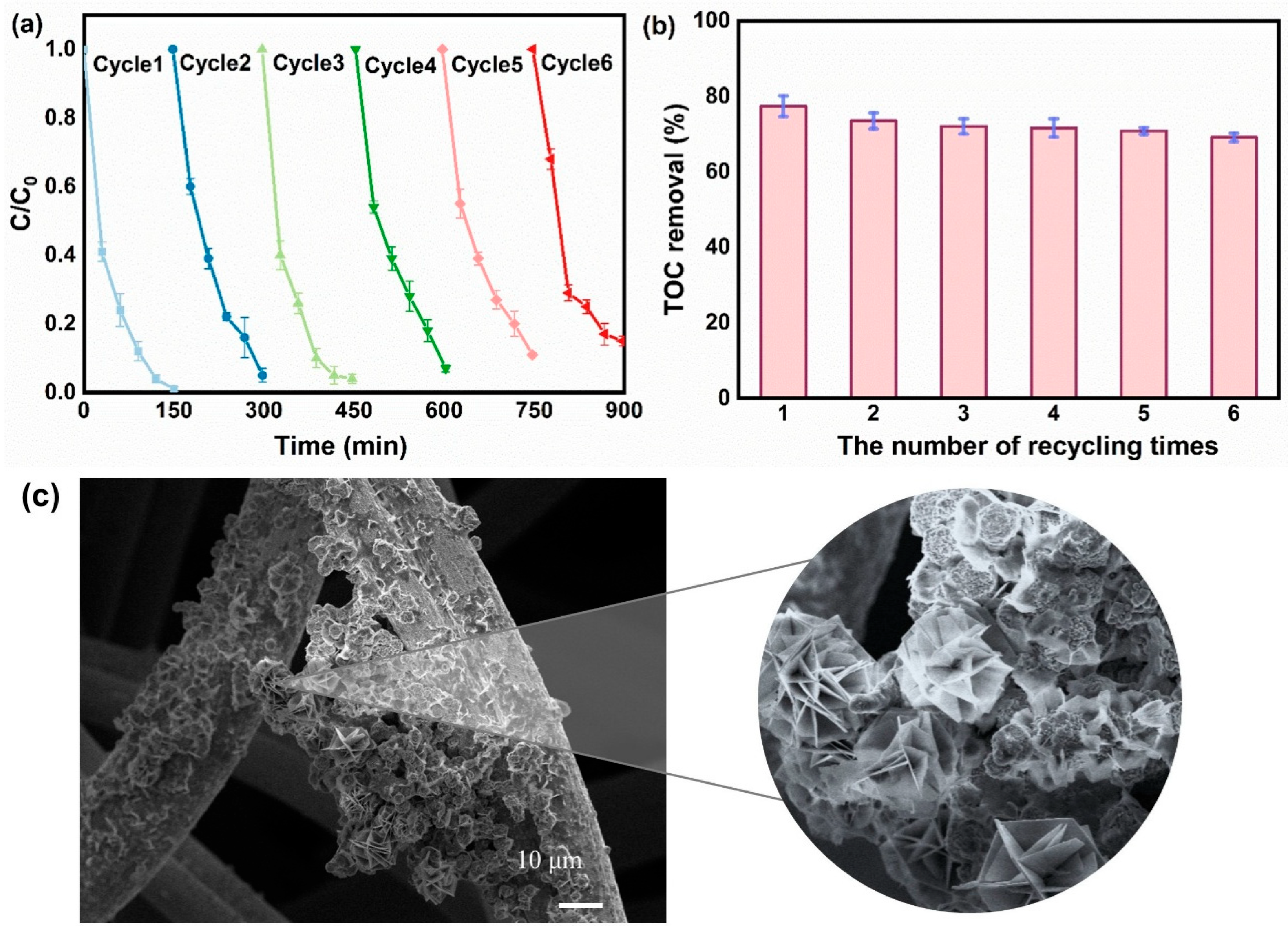 Catalysts 15 00685 g005