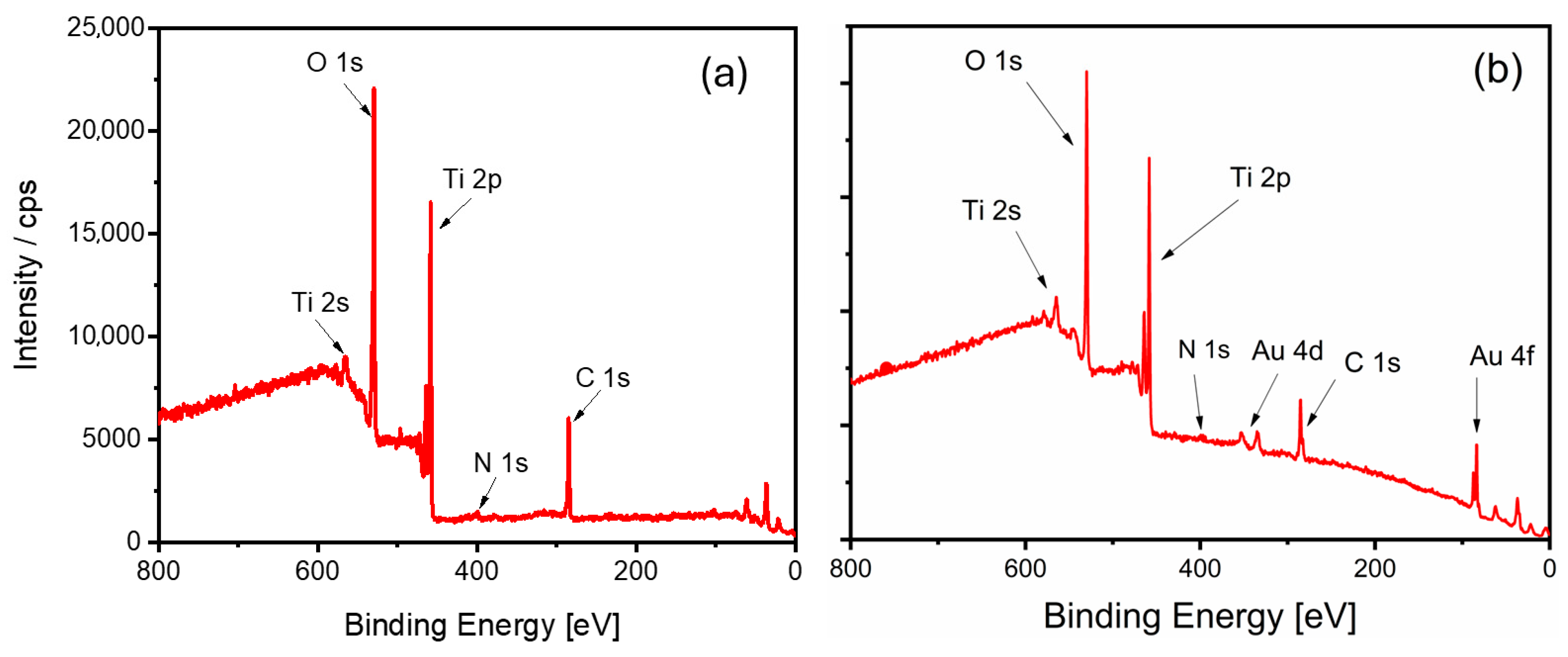 Catalysts 15 00701 g004 Catalysts 15 00701 g004