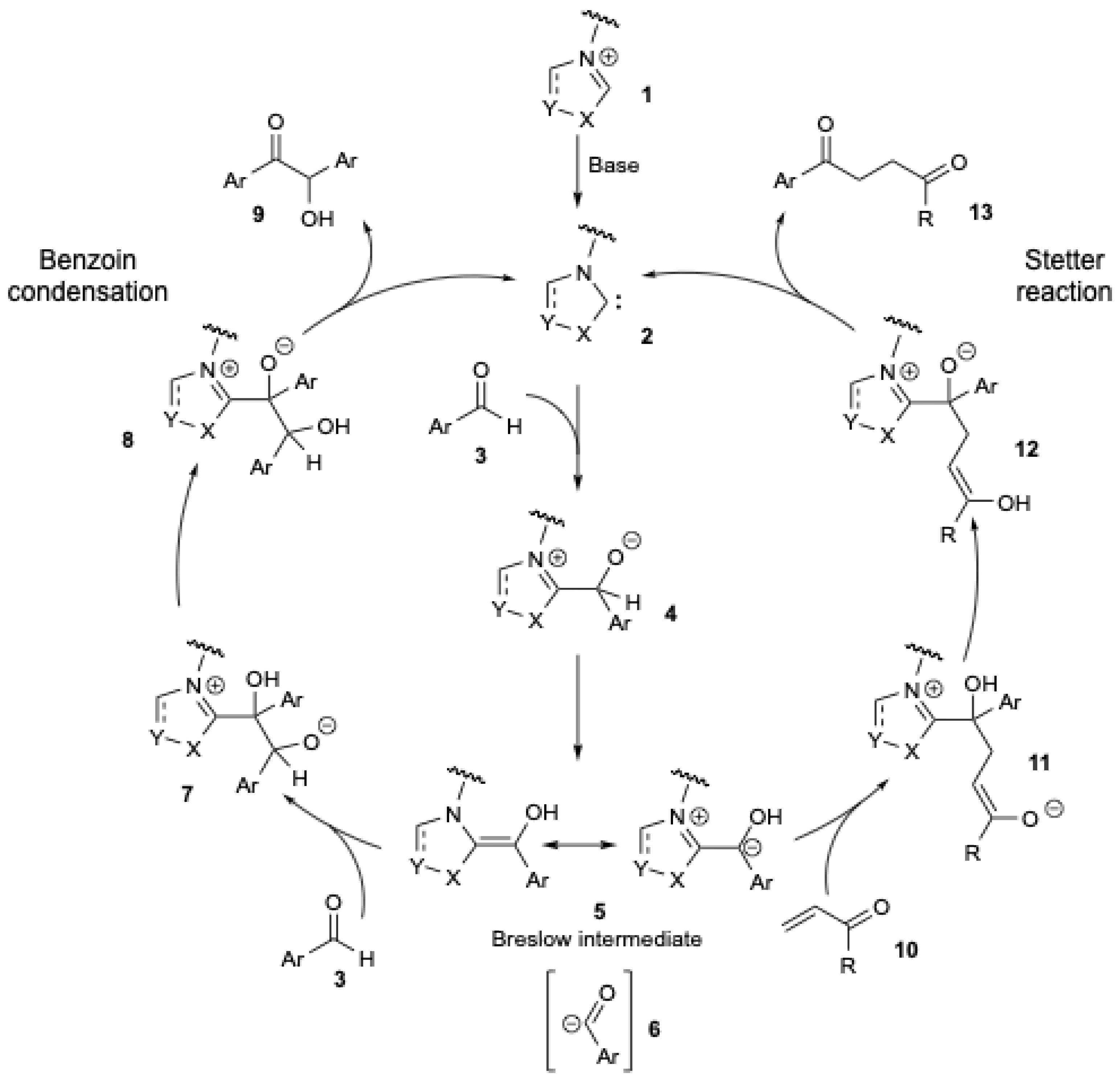 Catalysts 15 00708 g001