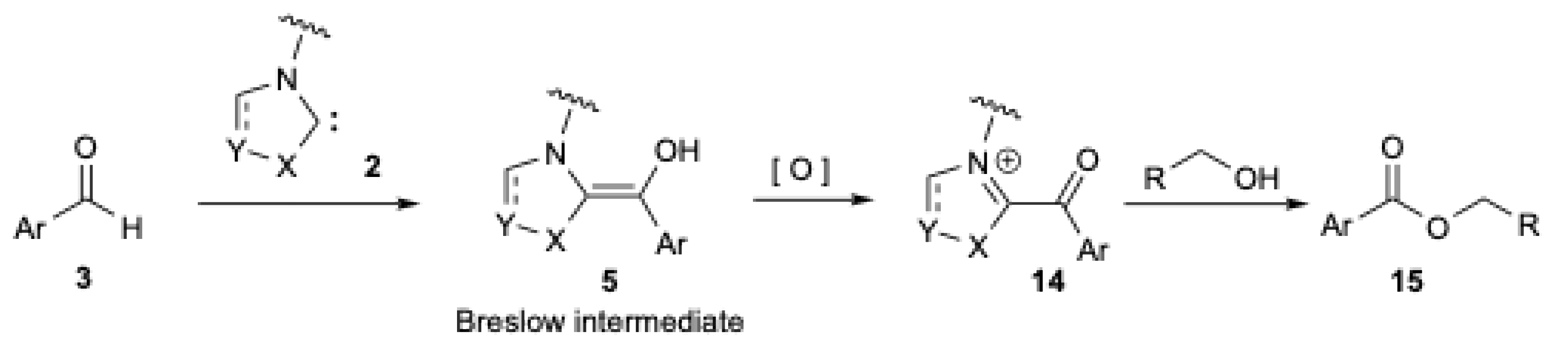 Catalysts 15 00708 g002