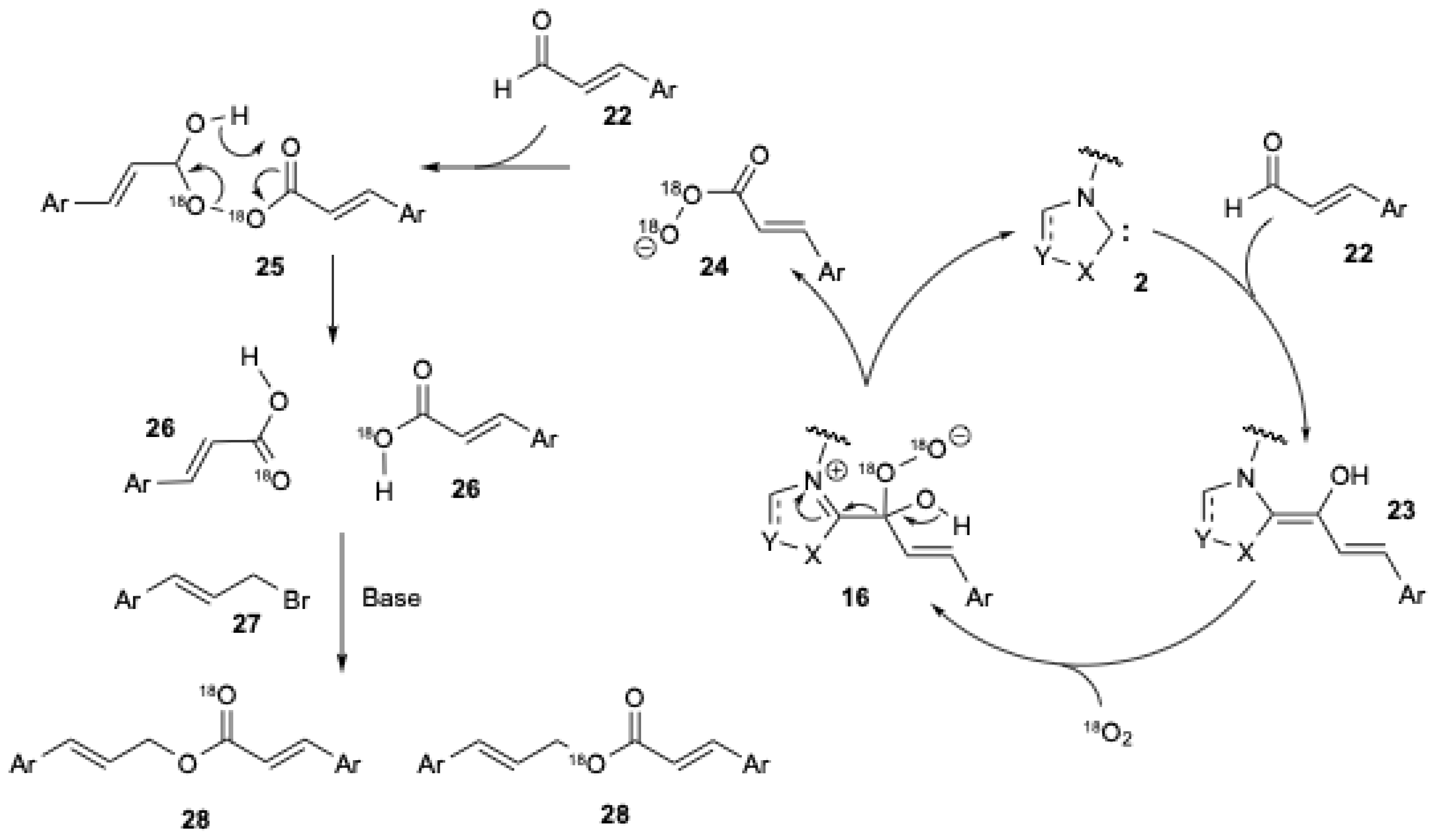 Catalysts 15 00708 g005