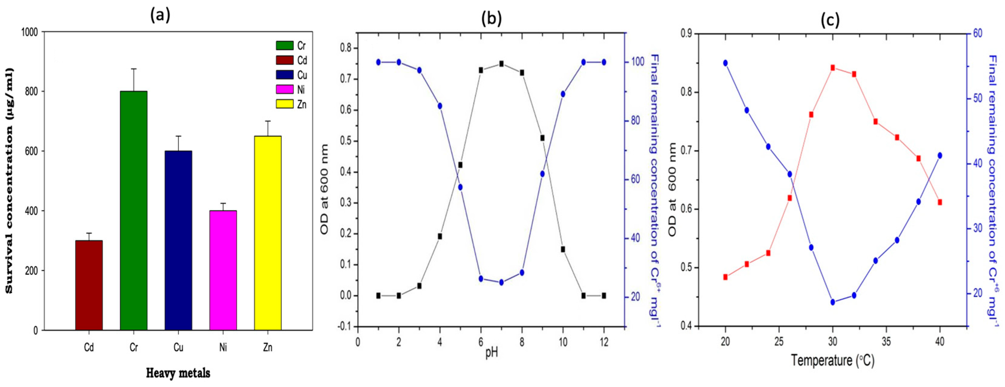 Catalysts 15 00726 g001