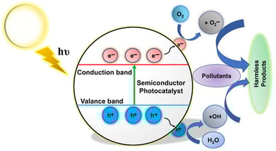Catalysts 15 00727 g001