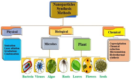 Catalysts 15 00727 g004