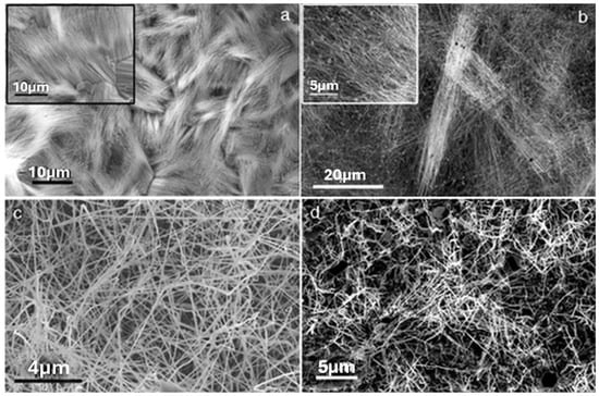 Catalysts 15 00727 g006