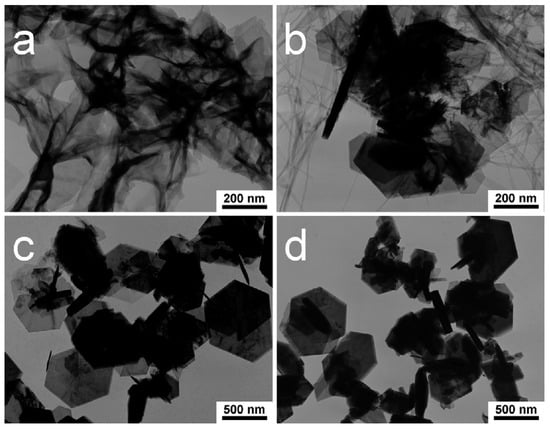Catalysts 15 00727 g007