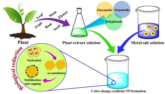 Catalysts 15 00727 g009
