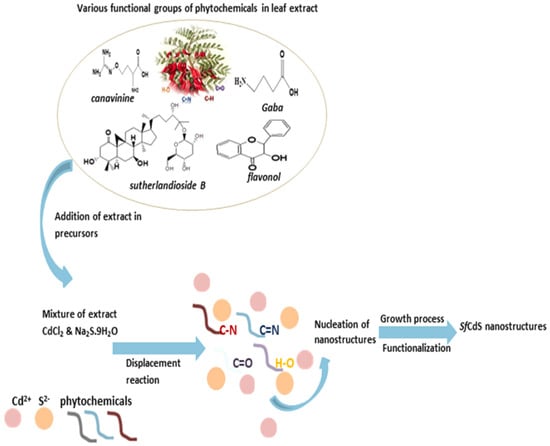 Catalysts 15 00727 g010