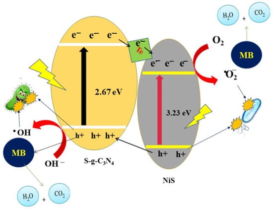 Catalysts 15 00727 g016