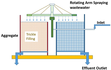 Catalysts 15 00727 i004