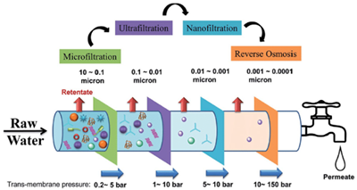Catalysts 15 00727 i005