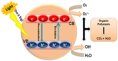 Catalysts 15 00727 i006