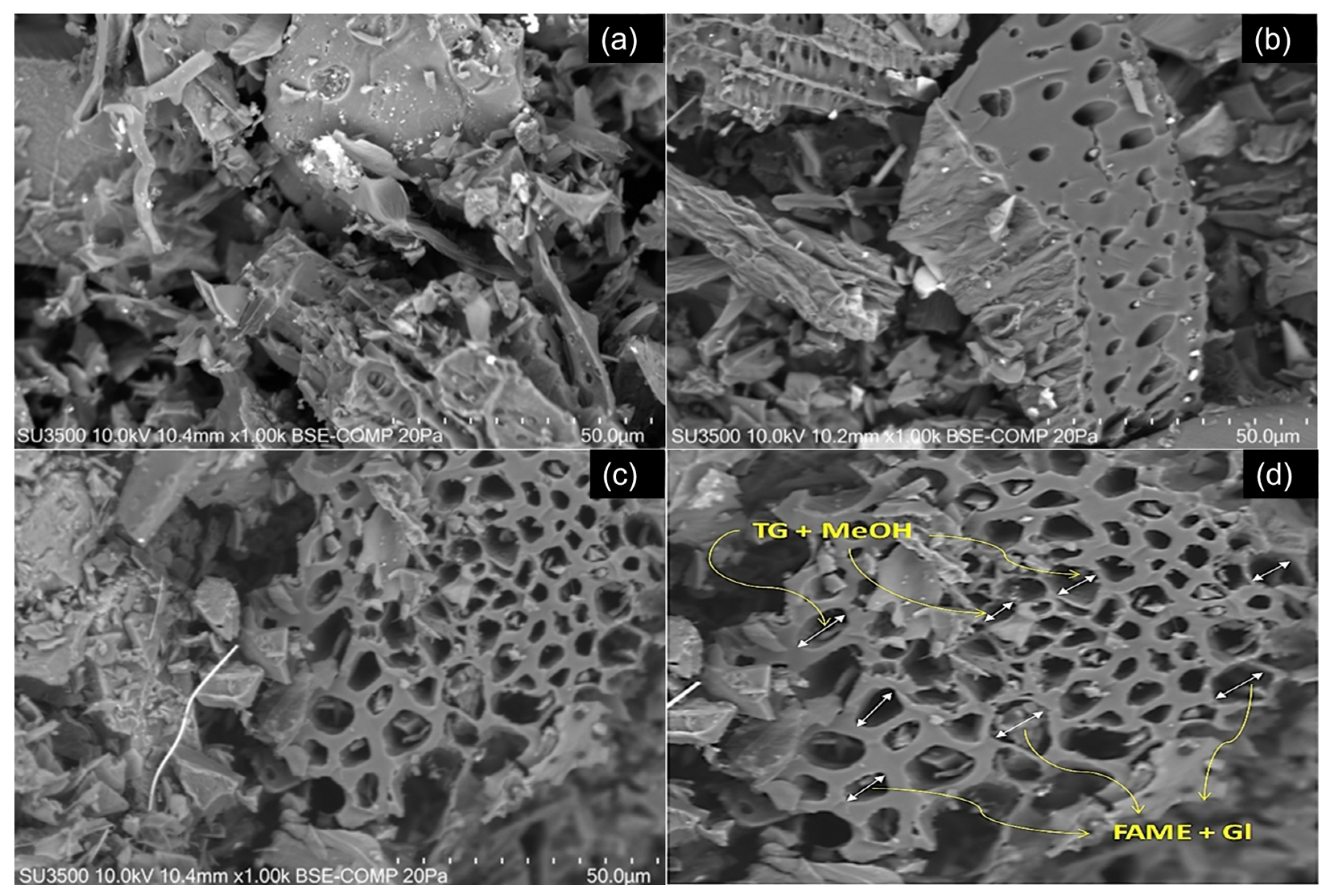 Catalysts 15 00729 g002