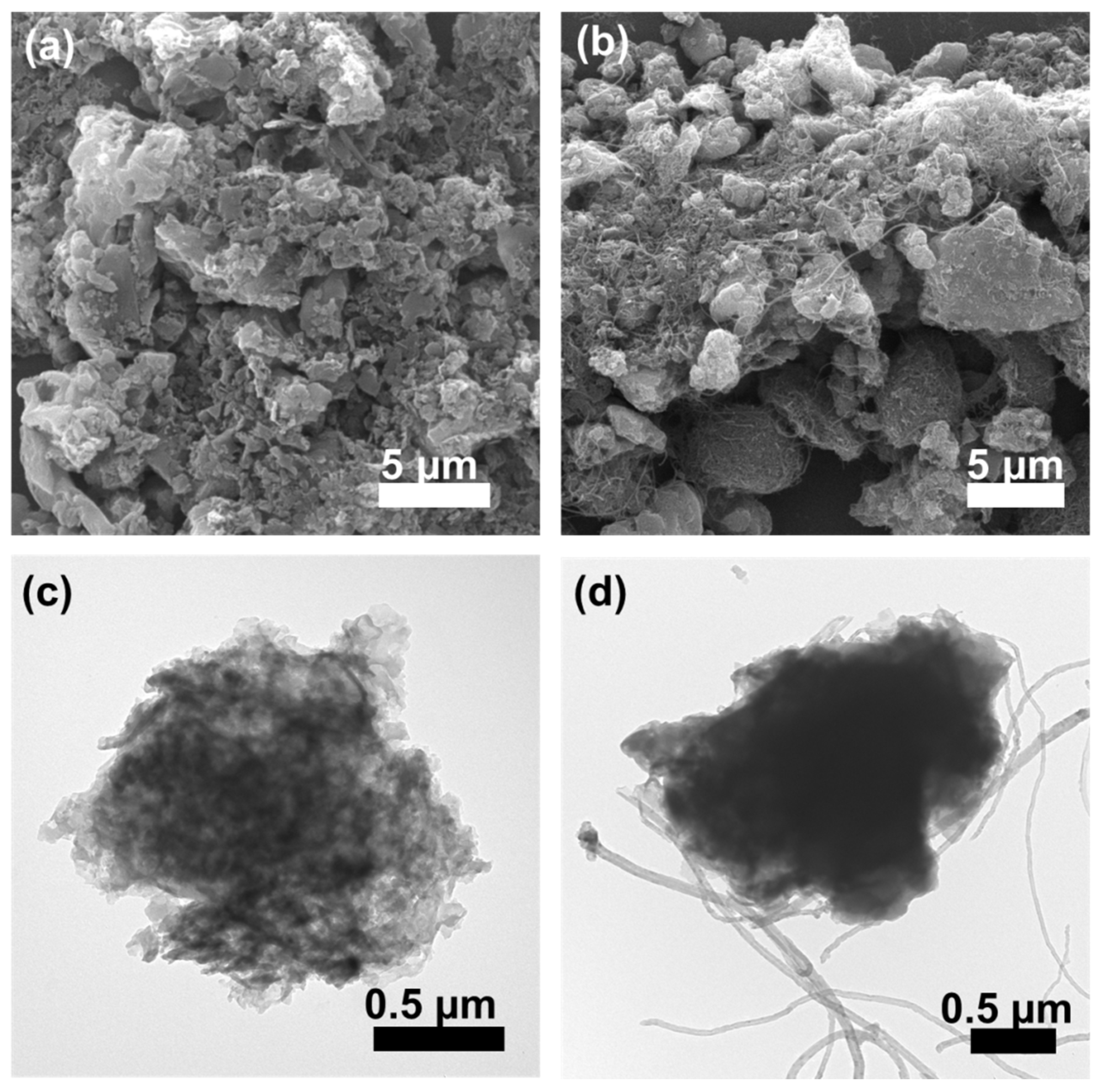 Catalysts 15 00753 g001