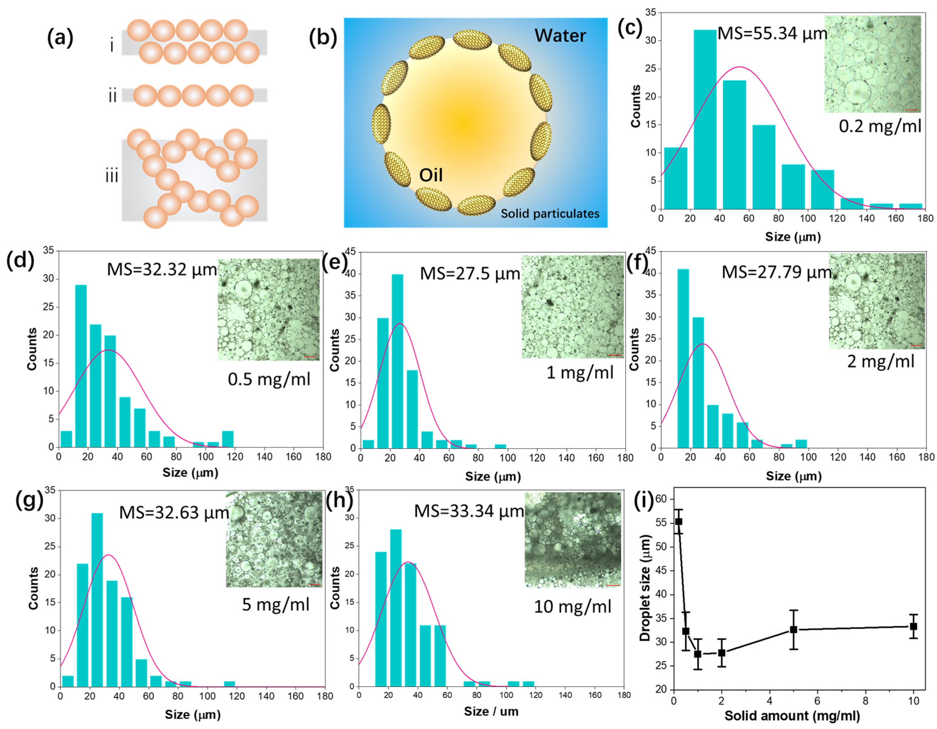 Catalysts 15 00753 g006